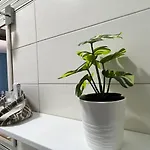 Alessia לינה וארוחת בוקר 4*